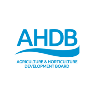 AHBD logo_300px