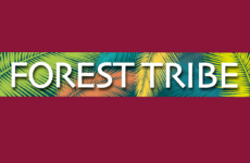 forest tribe logo