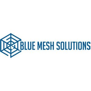 Blue Mesh Solutions_Logo_300px