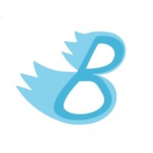 bahut_logo