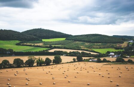 Countryside Landscape