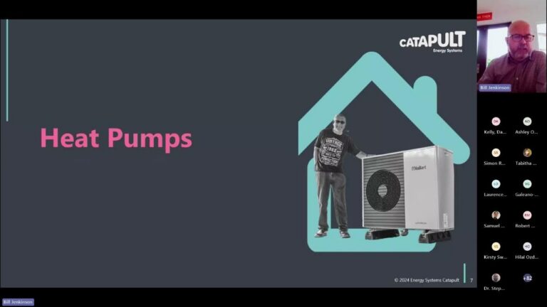 Unlocking Domestic Decarbonisation