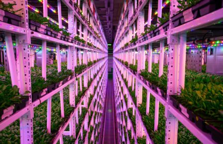 Zero Carbon Farms of the Future