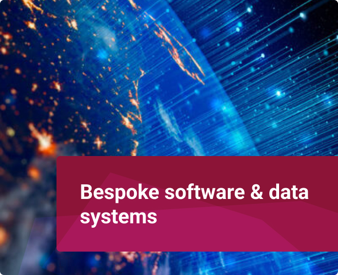 service-bespoke-software
