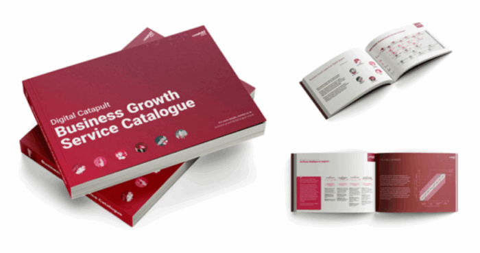 Image of the printed Explore our Business Growth Service Catalogue