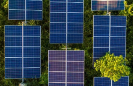 Eventspark Web Page Banner – ADViCE Energy Event – 2 Nov 26